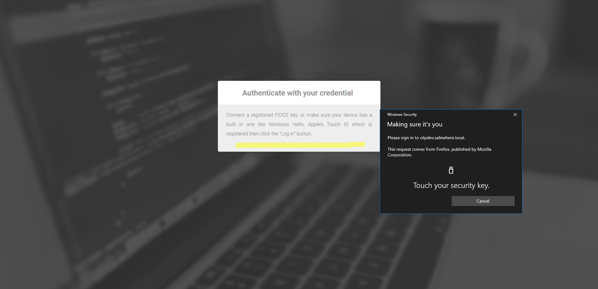 WebAuthn know issues authentication