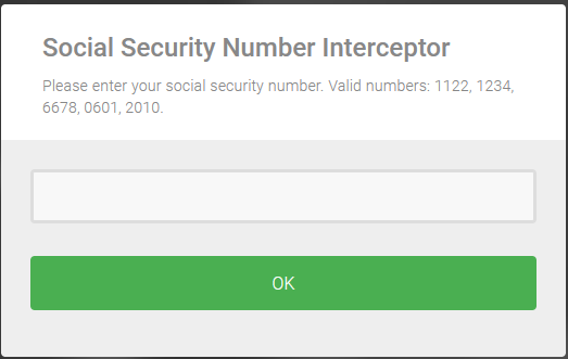 Ssocial-security-number-interceptor